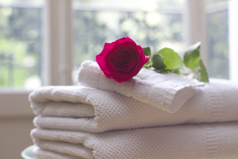 hotel-LA VALETTE DU VAR-min_towel_rose_clean_care_salon_spa_white_bath-731641